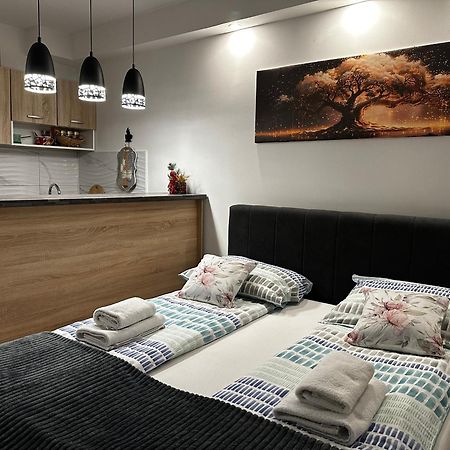 Cozy Studio Cik-Cak Doboj Exterior photo